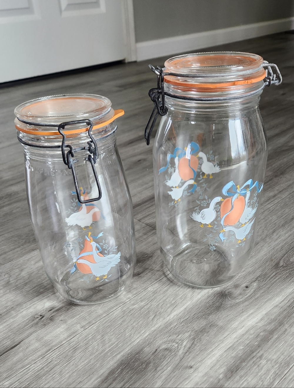 Vintage ARC France Niveau DeRemplissage Geese Duck Glass Canister 1.5L & 2L